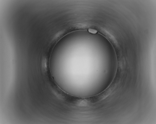 X0000110720115200906121436