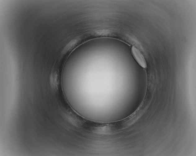 X0000110720116200906121436