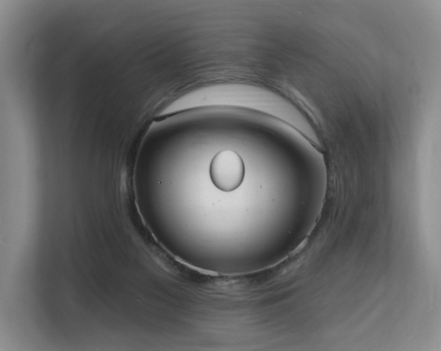 X0000110720117200906121436