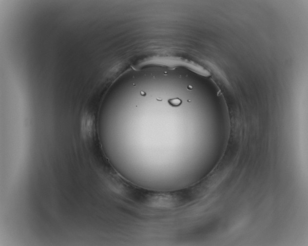 X0000110720123200906121436