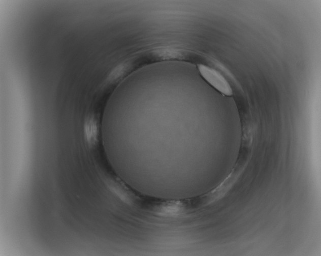 X0000110720124200906121436