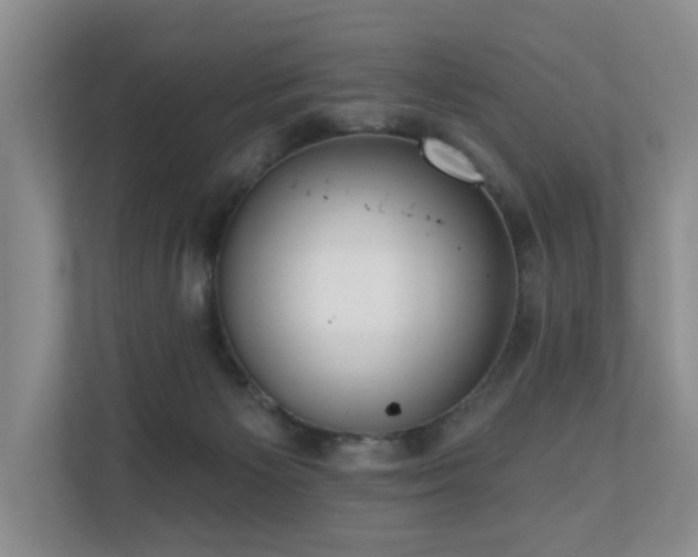 X0000110720125200906121436