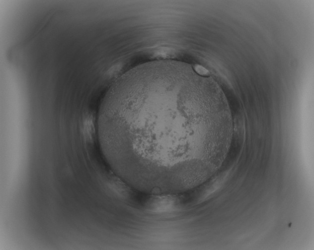X0000110720127200906121436