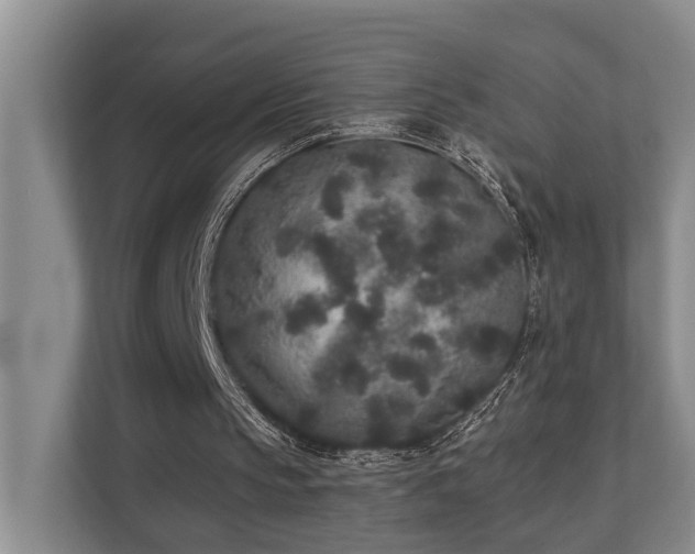 X0000110720145200906121435