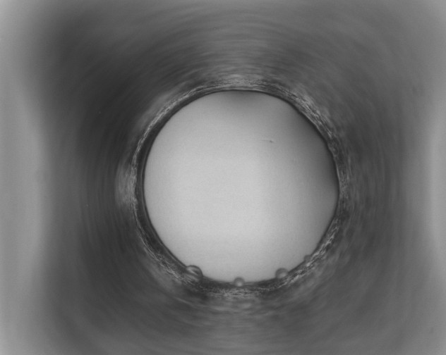 X0000110720146200906121435