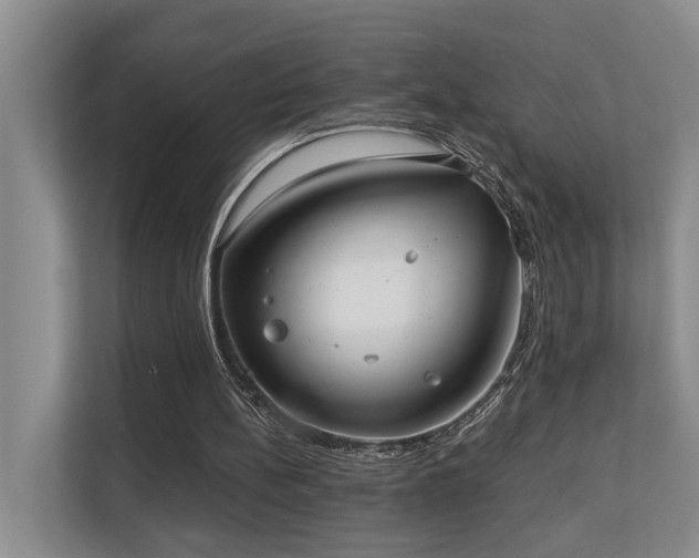 X0000110720148200906121435