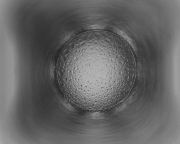 X0000110720153200906121435