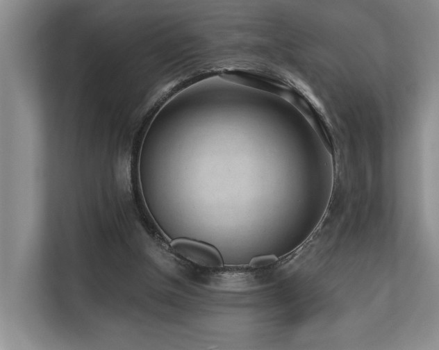 X0000110720154200906121435