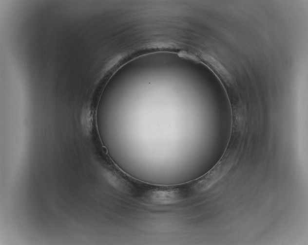 X0000110720160200906121435