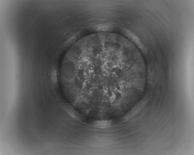 X0000110720161200906121435