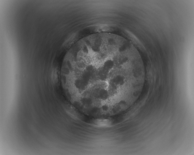 X0000110720169200906121435