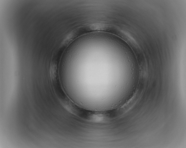 X0000110720171200906121435