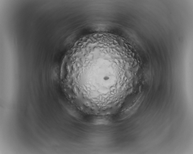X0000110720175200906121435