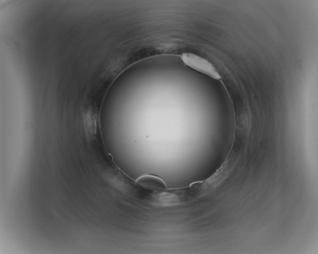 X0000110720180200906121435