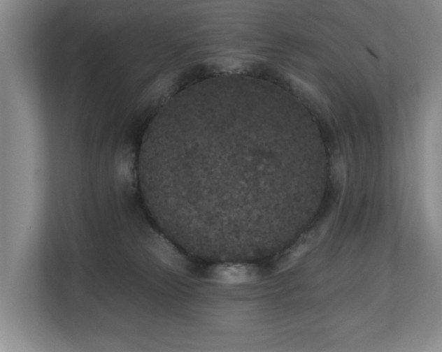 X0000110720181200906121435