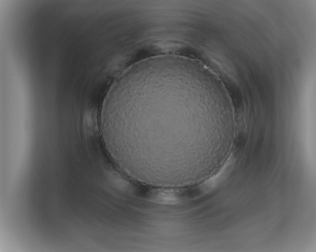 X0000110720182200906121435