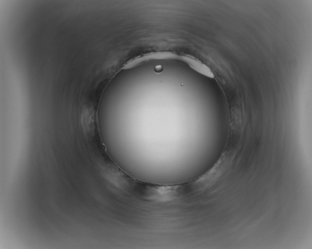 X0000110720184200906121435
