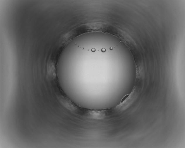 X0000110720187200906121435