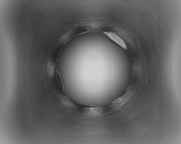 X0000110720188200906121435