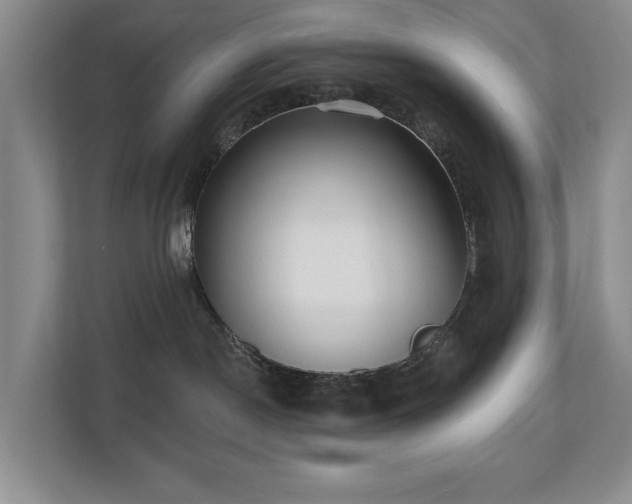 X0000110720190200906121435