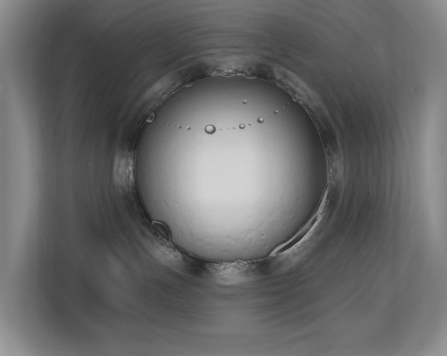 X0000110720191200906121435