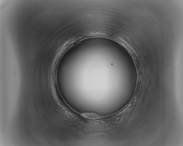X0000110720193200906121435