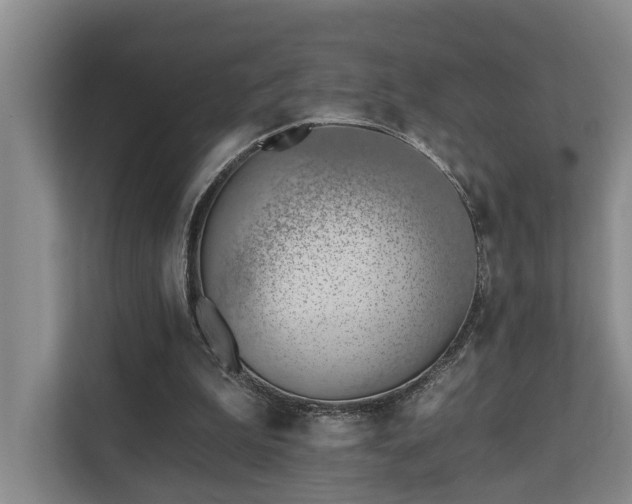 X0000110720199200906121435