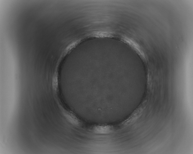 X0000110720202200906121435