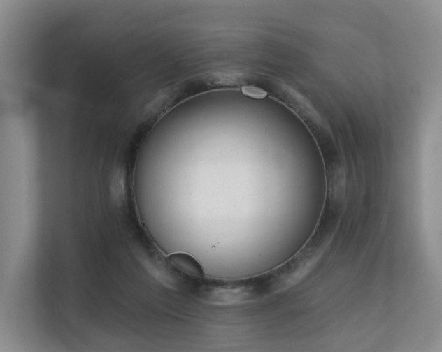 X0000110720213200906121435