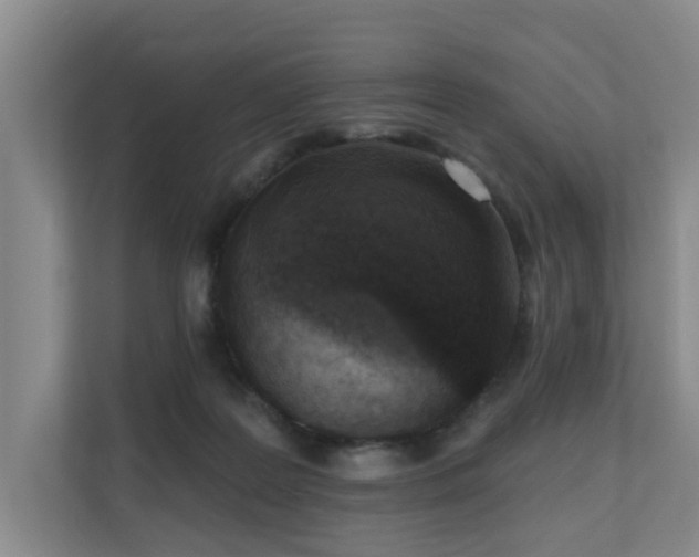 X0000110720219200906121434