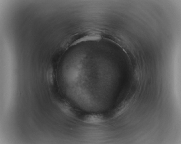 X0000110720223200906121434