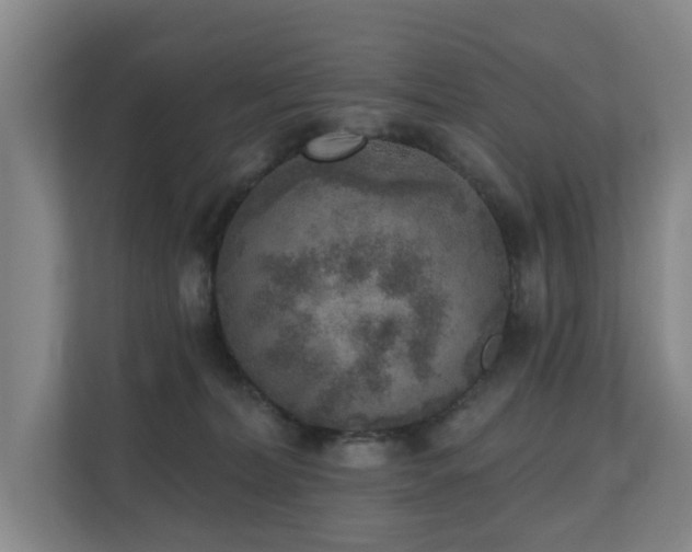 X0000110720228200906121434