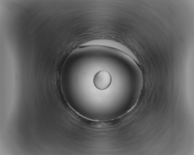 X0000110720229200906121434