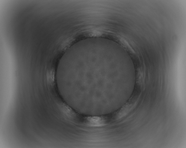 X0000110720230200906121434