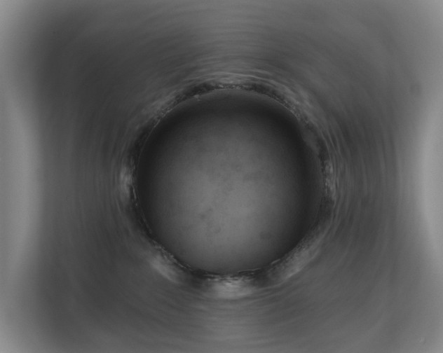 X0000110720235200906121434