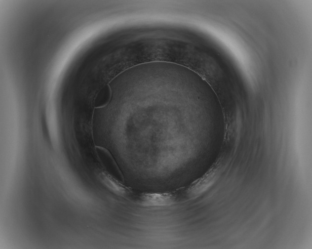 X0000110720239200906121434