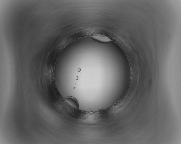 X0000110720240200906121434