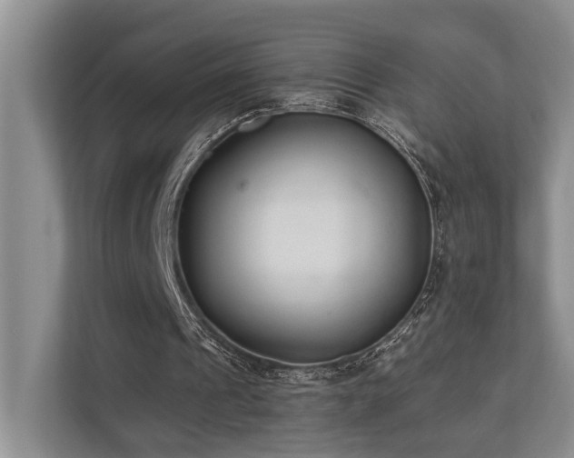 X0000110720241200906121434