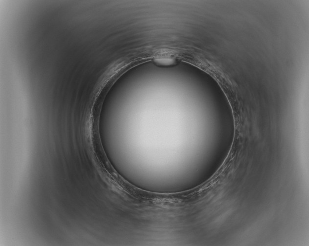 X0000110720242200906121434