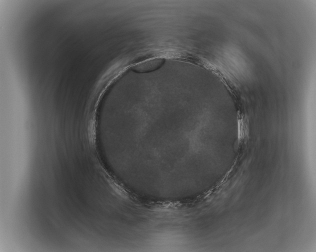 X0000110720243200906121434