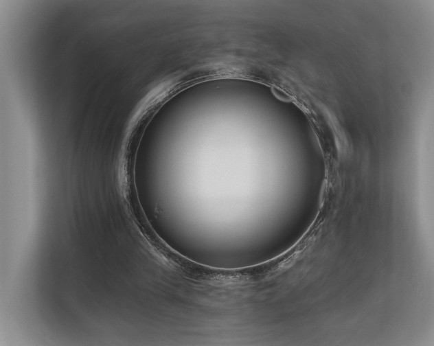 X0000110720245200906121434