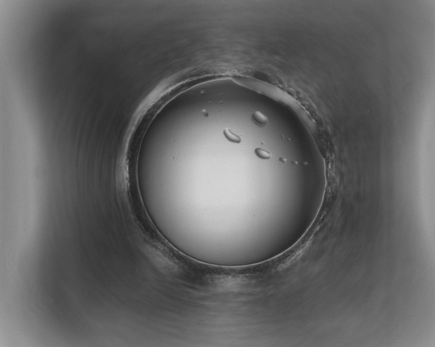 X0000110720246200906121434