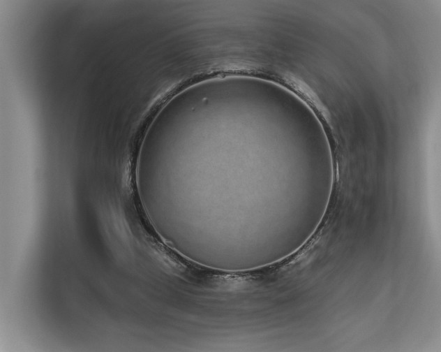 X0000110720249200906121434