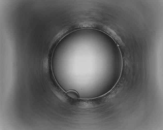 X0000110720250200906121434