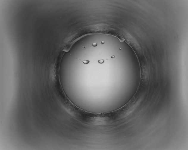 X0000110720255200906121434