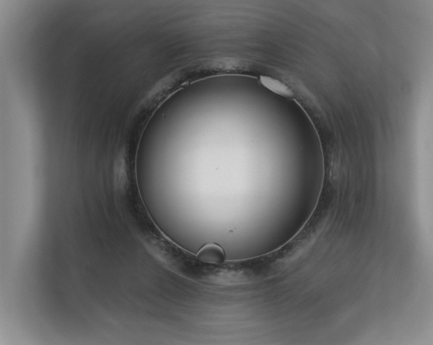 X0000110720256200906121434