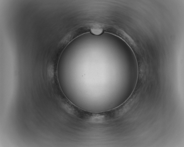 X0000110720257200906121434