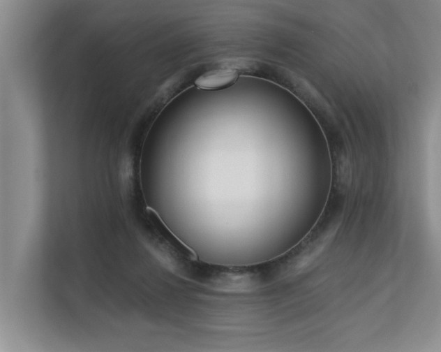 X0000110720260200906121434