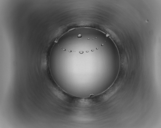 X0000110720261200906121434