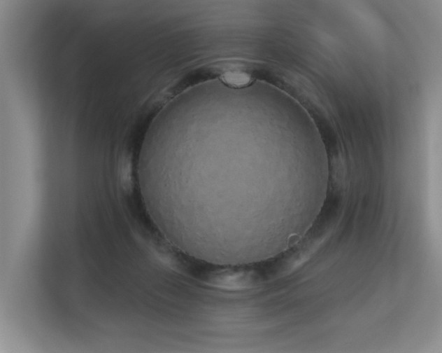 X0000110720267200906121434